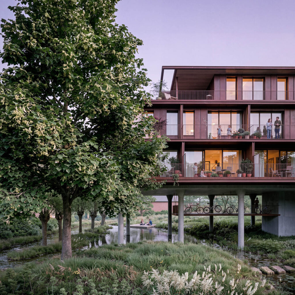 The Canopy in avondlicht met wilde weide en beek